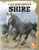Shire - 9781039809956 by Kerri Mazzarella, 9781039809956