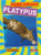 Platypus - 9781039809796 by Amy Culliford, 9781039809796