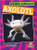 Axolotl - 9781039809833 by Amy Culliford, 9781039809833
