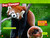 Animal All-Stars Collection (National Geographic Kids Readers, Level 1) - 9781426376863 by National Geographic Kids