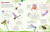 Ultimate Sticker Book Garden Bugs (New Edition with More than 250 Stickers) by DK, 9780744080230