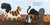 This Little Kitty in the Garden - 9780593435175 by Karen Obuhanych
