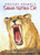 Ancient Animals: Saber-toothed Cat by Sarah L. Thomson, Andrew Plant, 9781580894005