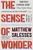 The Sense of Wonder (A Novel) by Matthew Salesses, 9780316425810