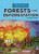 Forests and Deforestation (A Graphic Guide) - 9798765623497 by Christina Hill, Julie Lerche, 9798765623497