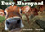 Busy Barnyard by John Schindel, Steven Holt, 9781582461687