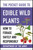 The Pocket Guide to Edible Wild Plants (How to Forage Safely and Responsibly) (Miniature Edition) by U.S. Department of the Army, 9781510777279