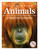 Animals A Visual Encyclopedia by DK, 9780744092875