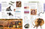 Animals A Visual Encyclopedia by DK, 9780744092875