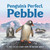 Penguin's Perfect Pebble (A True-to-Life Story from the Natural World, Ages 5 & Up) by IglooBooks, Jenny  Palmer-Fettig, 9781837716807