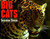 Big Cats by Seymour Simon, 9780064461191