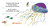 Mister Seahorse's Ocean Friends (A Touch-and-Feel Book) by Eric Carle, Eric Carle, 9780593750711