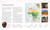 Africa (The Definitive Visual History of a Continent) by DK, David Olusoga, 9780744060102
