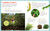 Backpack Explorer: Discovering Plants and Flowers (What Will You Find?) by Editors of Storey Publishing, 9781635866759