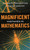 Magnificent Mistakes in Mathematics by Alfred S. Posamentier, Ingmar Lehmann, 9781616147471