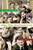 Italian Voices (Making Minnesota Our Home) by Mary Ellen  Mancina-Batinich, FlorenceMae  Waldron, Rudolph J. Vecoli, 9780873515818