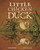 Little Chicken Duck by Tim Beiser, Bill Slavin, 9781770493926