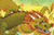 Roar-Choo! by Charlotte Cheng, Dan Santat, 9780593531754