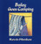 Bailey Goes Camping by Kevin Henkes, Kevin Henkes, 9780688057015