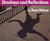 Shadows and Reflections by Tana Hoban, Tana Hoban, 9780688070892