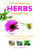 Essential Herbs Handbook (More than 100 herbs for well-being, healing, and happiness) (Miniature Edition) by Lesley Bremness, 9781844838011