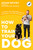 How to Train Your Dog (Transform Your Dog's Behavior and Strengthen Your Bond Forever A Dog Training Book) by Adam Spivey, 9780593797303