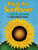 This Is the Sunflower by Lola M. Schaefer, Donald Crews, 9780688164133