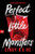 Perfect Little Monsters by Cindy R. X. He, 9781728293394
