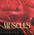Muscles (Our Muscular System) by Seymour Simon, 9780688177201