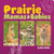 Prairie Mamas & Babies by Stan Tekiela, 9781647553555