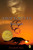Amos Fortune, Free Man by Elizabeth Yates, 9780140341584