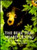 The Bear That Heard Crying by Natalie Kinsey-Warnock, Helen Kinsey, 9780140558548