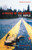 A Friend of the Earth by T.C. Boyle, 9780141002057