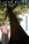 Stand Tall by Joan Bauer, 9780142404270