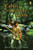 Cabin on Trouble Creek by Jean Van Leeuwen, 9780142411643