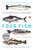 Four Fish (The Future of the Last Wild Food) by Paul Greenberg, 9780143119463