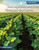 How Agriculture Changed the World by Stephanie Feldstein, 9781668938003