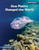 How Plastic Changed the World by Stephanie Feldstein, 9781668938058