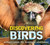 Discovering Birds (The Ultimate Handbook to the Birds of the World) by Roger Lederer, Julius Csotonyi, 9781400340705