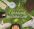 I'm Afraid, Said the Leaf by Danielle Daniel, Matt James, 9781774880708