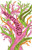 Intertwined (Women, Nature, and Climate Justice) by Rebecca Kormos, 9781620977491