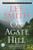 On Agate Hill (A Novel) by Lee Smith, 9781565125773