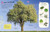 Ultimate Sticker Book Trees and Leaves by DK, 9780744099621