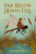 Far Below Human Eyes by Annabelle Healy, 9781631952401