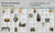 History of Britain and Ireland (The Definitive Visual Guide, New Edition) by DK, 9780593842317