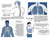 Breathe (Journeys to Healthy Binding) by Maia Kobabe, Sarah Peitzmeier, PhD, Maia Kobabe, 9780593855836