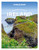 Lonely Planet Experience Ireland - 9781838697549 by Isabel Albiston, Neil Arthurs, Brian Barry, Yvonne Gordon, Una-Minh Kavanagh, Noelle Kelly, Catherine Le Nevez, Fionan McGrath, Orla Smith, Neil Wilson, 9781838697549