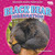 Black Bear Hibernation by Martha London, 9798889162278
