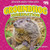 Groundhog Hibernation by Martha London, 9798889162292