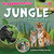 Jungle Animal Groups by Rebecca Phillips-Bartlett, 9798889163282